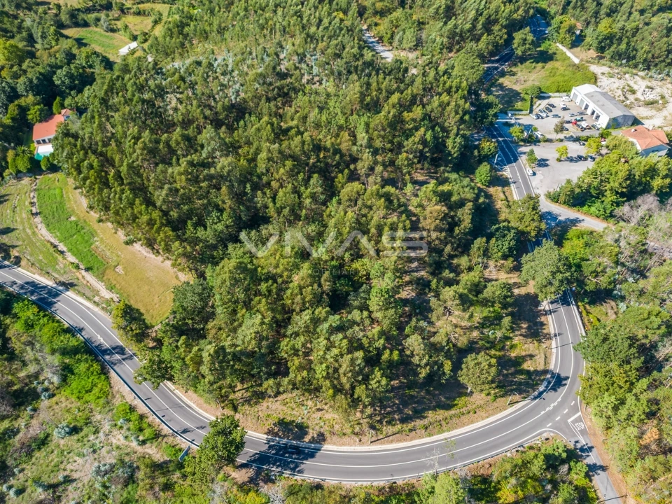 Terreno Agricola ou Rústico para Venda em Pico Foto 12
