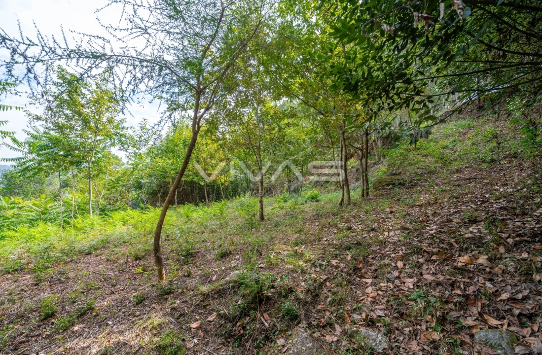 Terreno para Venda em Valbom (São Pedro), Passô e Valbom (São Martinho) Foto 4