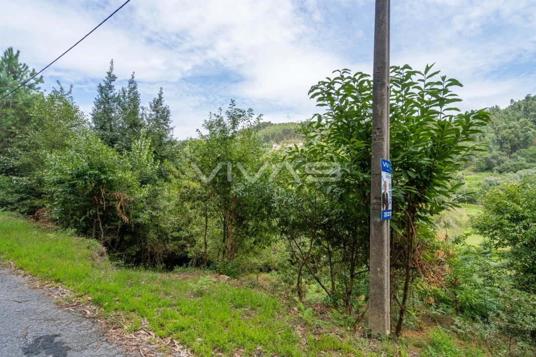 Terreno para Venda em Valbom (São Pedro), Passô e Valbom (São Martinho) Foto 3