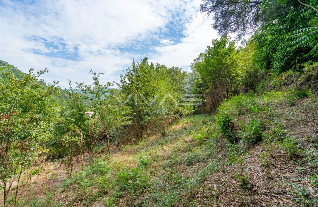 Terreno para Venda em Valbom (São Pedro), Passô e Valbom (São Martinho) Foto 19