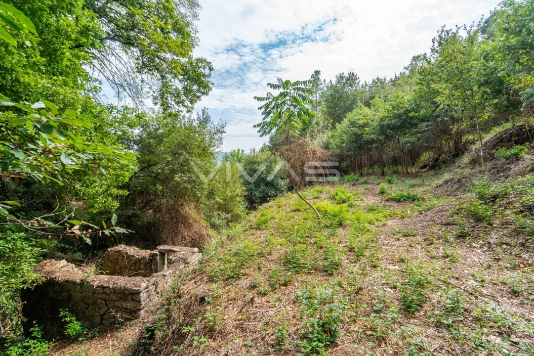 Terreno para Venda em Valbom (São Pedro), Passô e Valbom (São Martinho) Foto 17