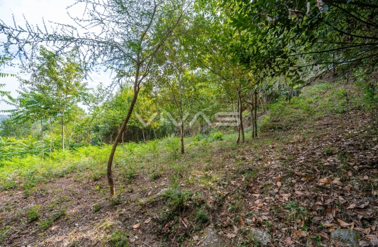 Terreno para Venda em Valbom (São Pedro), Passô e Valbom (São Martinho) Foto 4