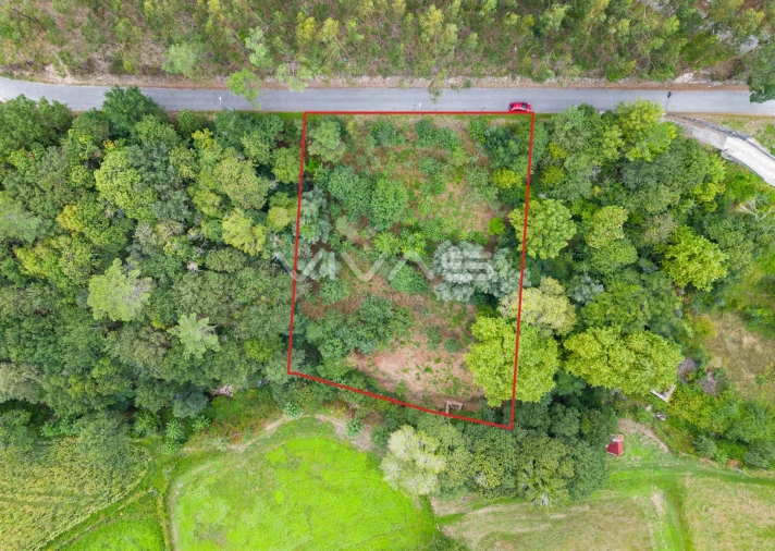 Terreno para Venda em Valbom (São Pedro), Passô e Valbom (São Martinho) Foto 28