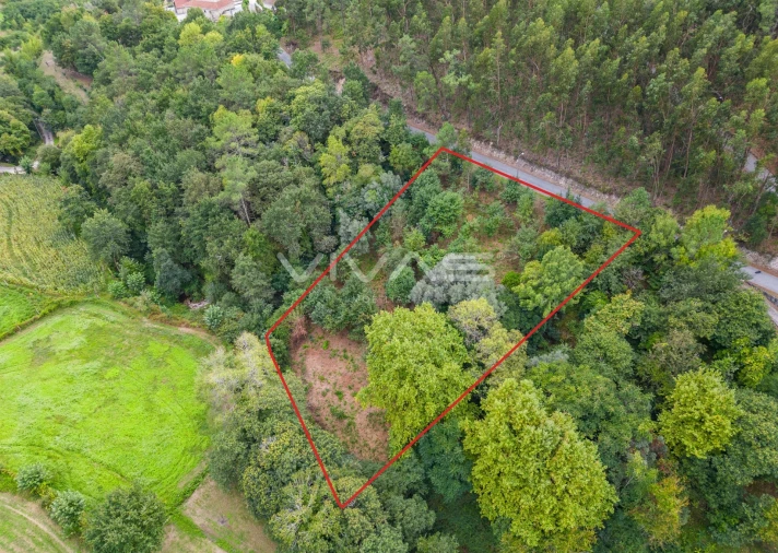 Terreno para Venda em Valbom (São Pedro), Passô e Valbom (São Martinho) Foto 27