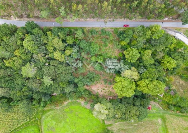 Terreno para Venda em Valbom (São Pedro), Passô e Valbom (São Martinho) Foto 22
