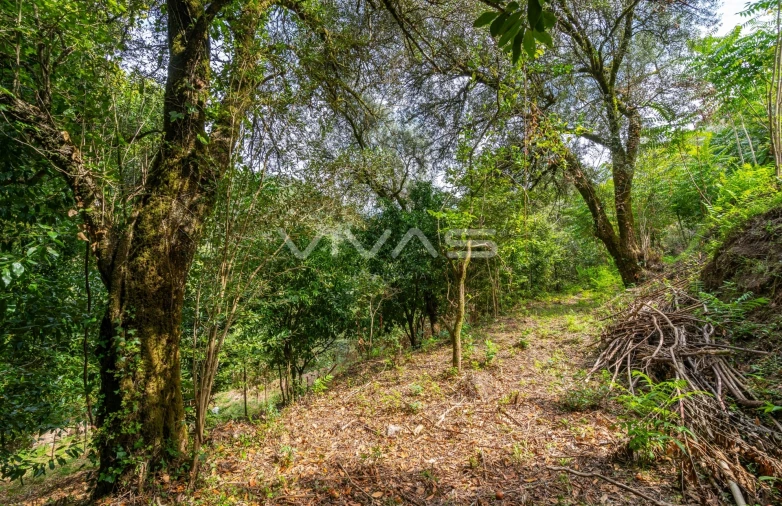 Terreno para Venda em Valbom (São Pedro), Passô e Valbom (São Martinho) Foto 5