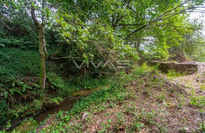 Terreno para Venda em Valbom (São Pedro), Passô e Valbom (São Martinho) Foto 15