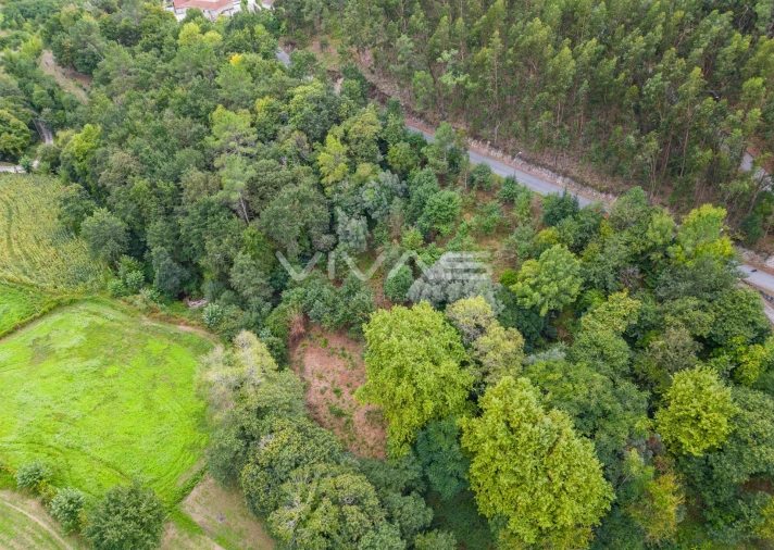 Terreno para Venda em Valbom (São Pedro), Passô e Valbom (São Martinho) Foto 21