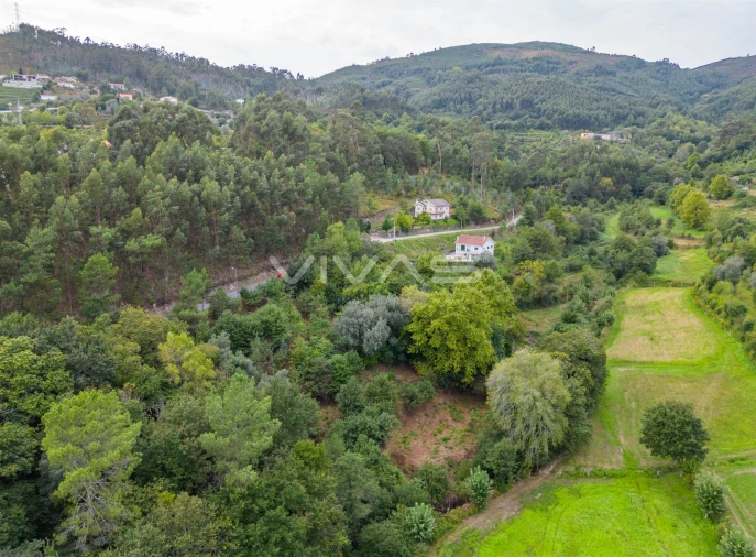 Terreno para Venda em Valbom (São Pedro), Passô e Valbom (São Martinho) Foto 7