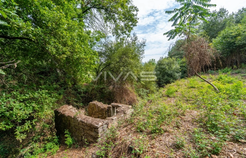 Terreno para Venda em Valbom (São Pedro), Passô e Valbom (São Martinho) Foto 16