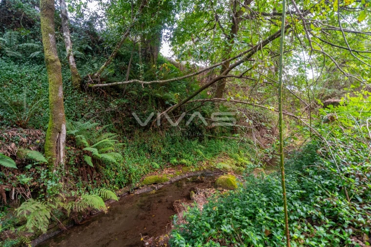 Terreno para Venda em Valbom (São Pedro), Passô e Valbom (São Martinho) Foto 18