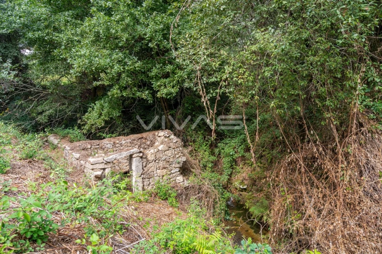 Terreno para Venda em Valbom (São Pedro), Passô e Valbom (São Martinho) Foto 13