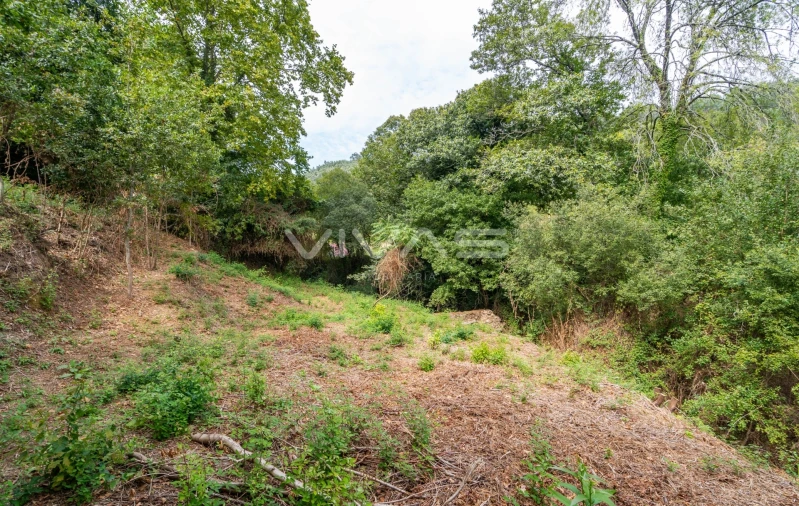Terreno para Venda em Valbom (São Pedro), Passô e Valbom (São Martinho) Foto 14