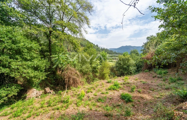 Terreno para Venda em Valbom (São Pedro), Passô e Valbom (São Martinho) Foto 12