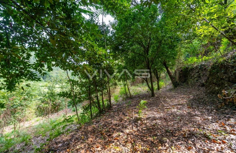Terreno para Venda em Valbom (São Pedro), Passô e Valbom (São Martinho) Foto 10