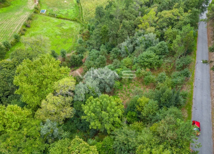 Terreno para Venda em Valbom (São Pedro), Passô e Valbom (São Martinho) Foto 24
