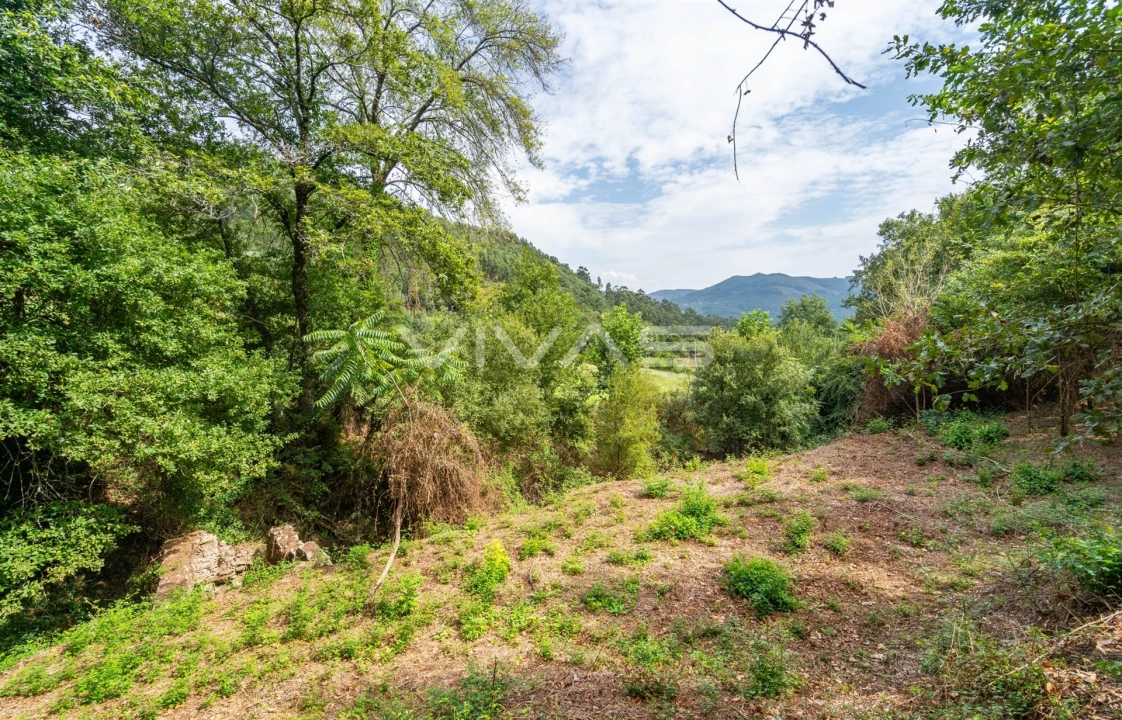 Terreno para Venda em Valbom (São Pedro), Passô e Valbom (São Martinho) Foto 12