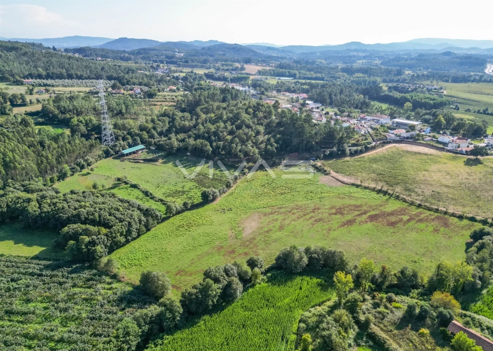 Terreno para Venda em Ribeira do Neiva Foto 5