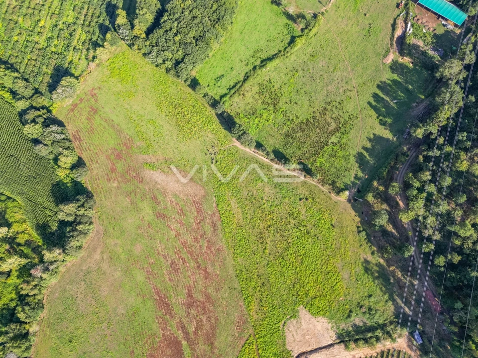Terreno para Venda em Ribeira do Neiva Foto 8