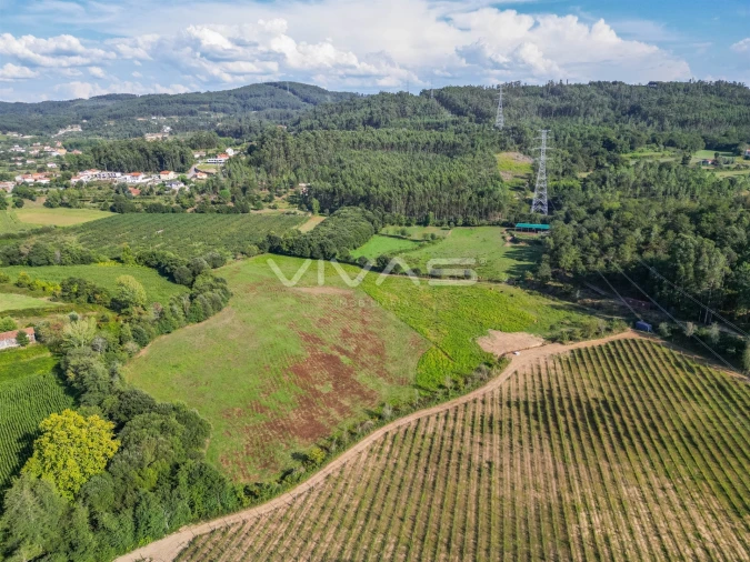 Terreno para Venda em Ribeira do Neiva Foto 1