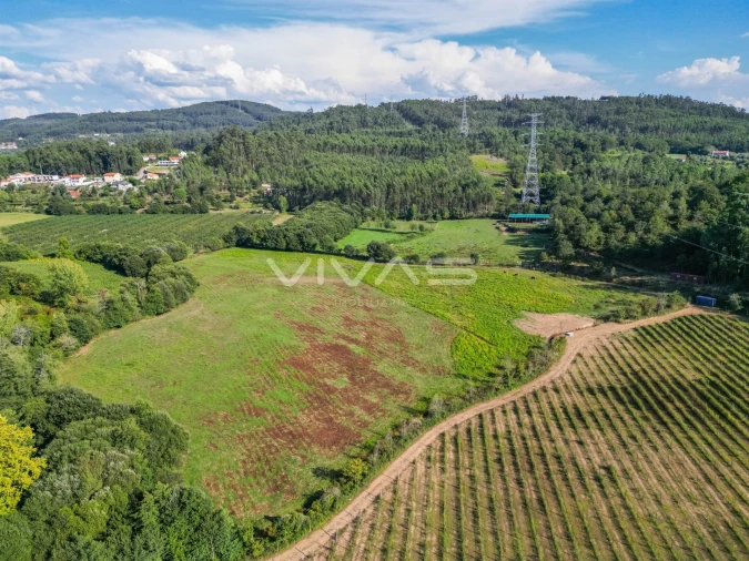 Terreno para Venda em Ribeira do Neiva Foto 2