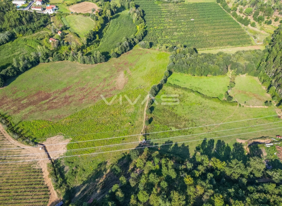 Terreno para Venda em Ribeira do Neiva Foto 9
