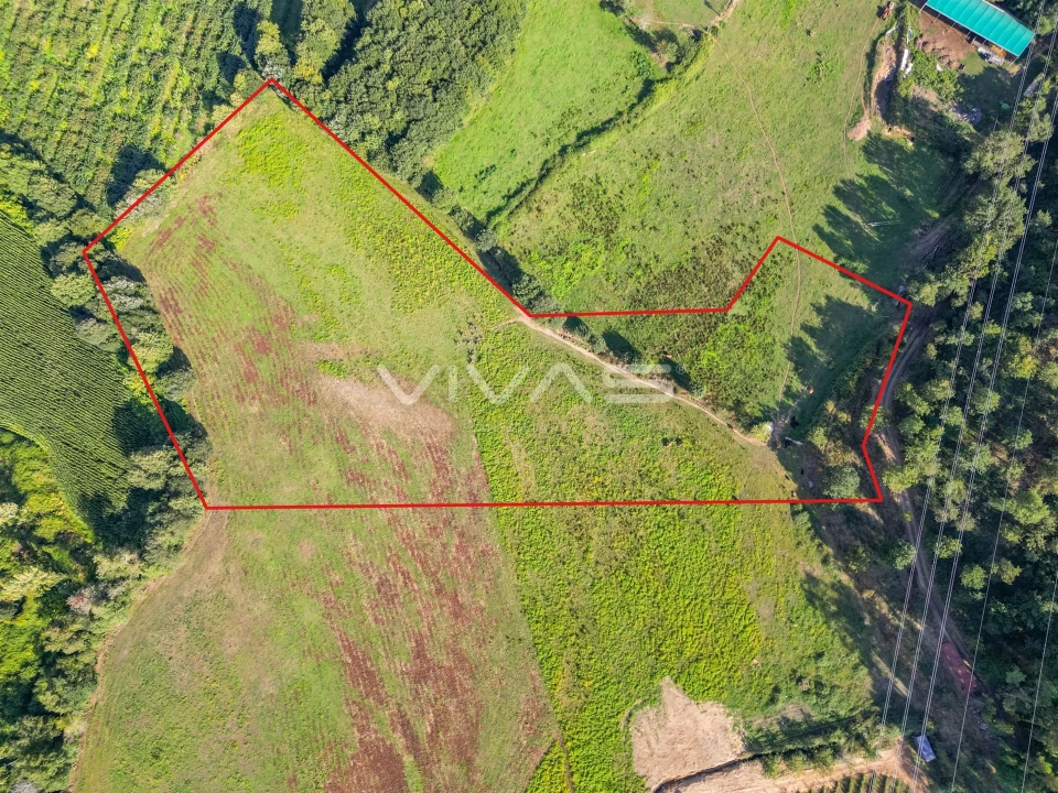 Terreno para Venda em Ribeira do Neiva Foto 12