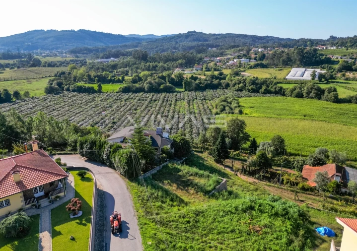 Terreno para Venda em Ribeira do Neiva Foto 7