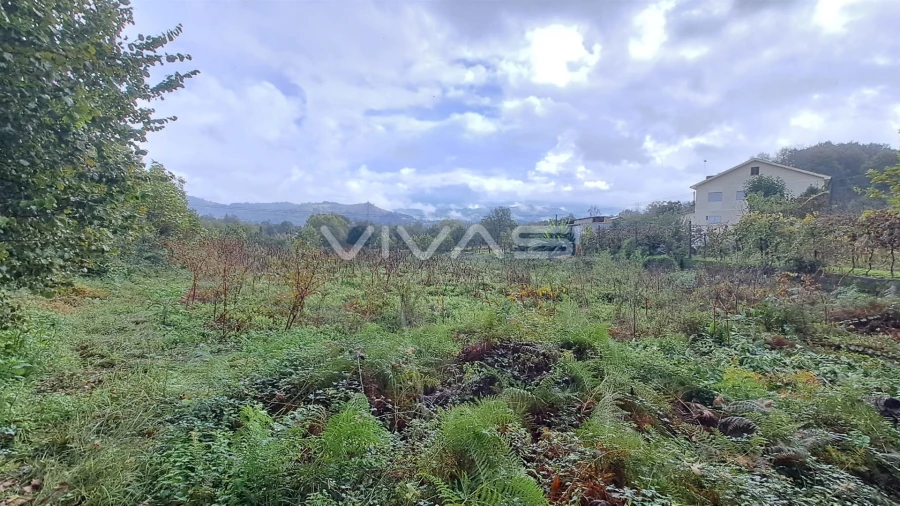 Terreno para Venda em Prado (São Miguel) Foto 3