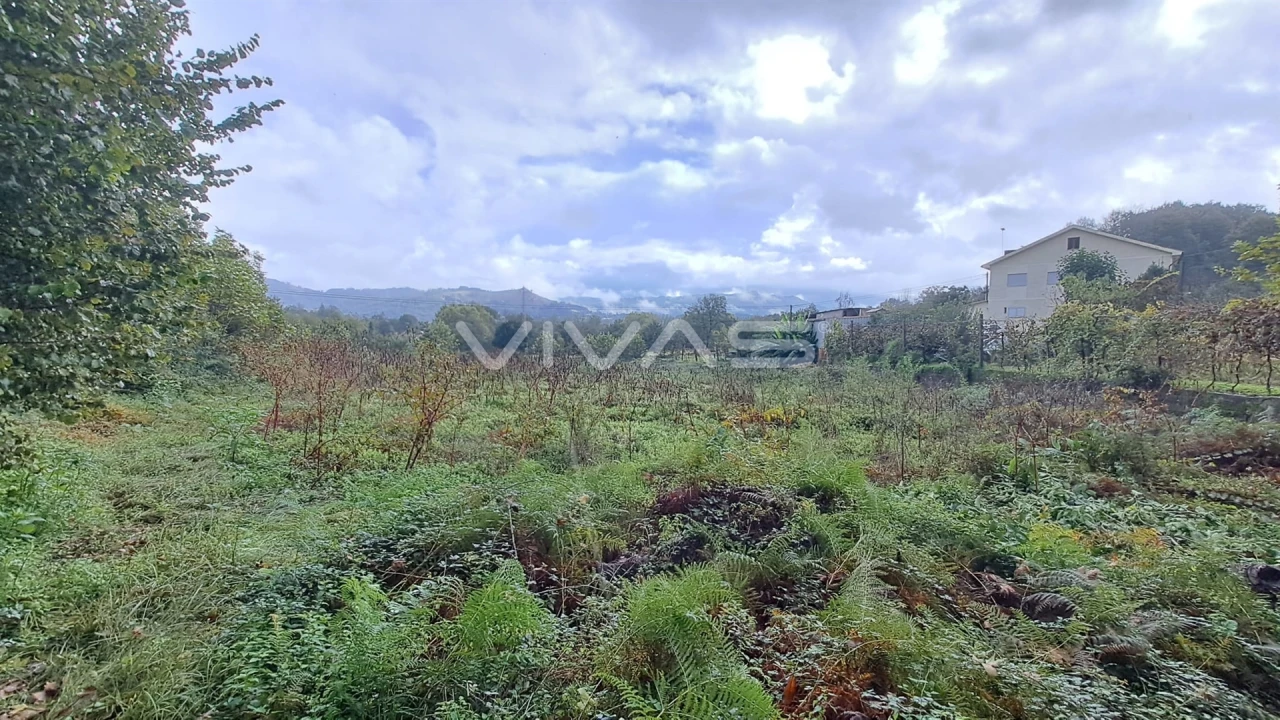 Terreno para Venda em Prado (São Miguel) Foto 3