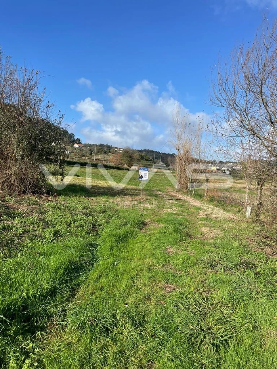 Terreno para Venda em Escariz (São Mamede) e Escariz (São Martinho) Foto 1