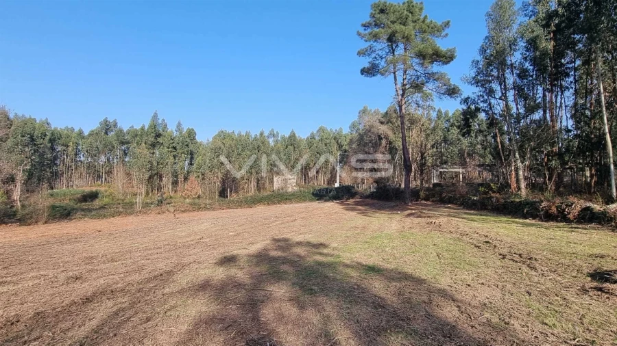 Moradia T0 para Venda em Pico de Regalados, Gondiães e Mós Foto 9