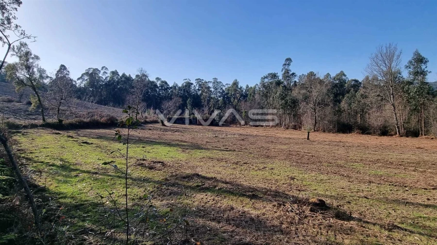 Moradia T0 para Venda em Pico de Regalados, Gondiães e Mós Foto 6