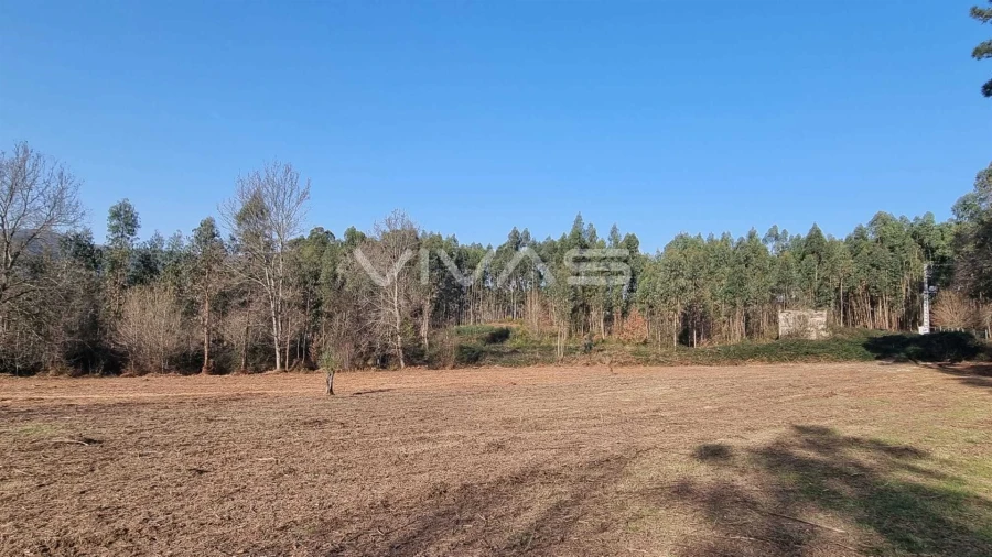 Moradia T0 para Venda em Pico de Regalados, Gondiães e Mós Foto 10