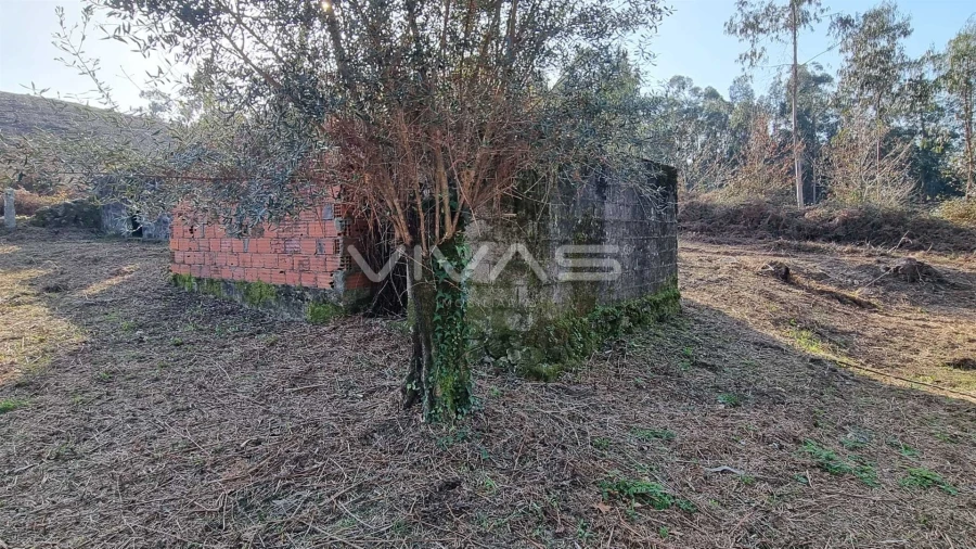 Moradia T0 para Venda em Pico de Regalados, Gondiães e Mós Foto 5