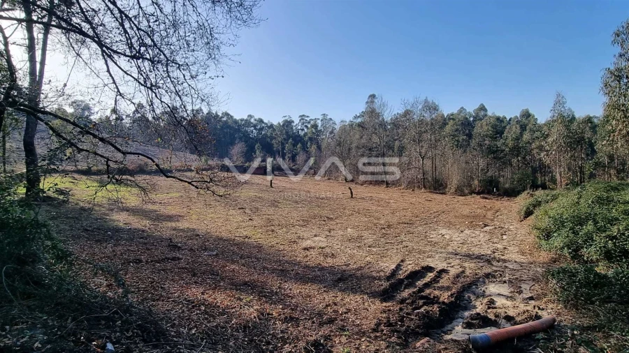 Moradia T0 para Venda em Pico de Regalados, Gondiães e Mós Foto 11