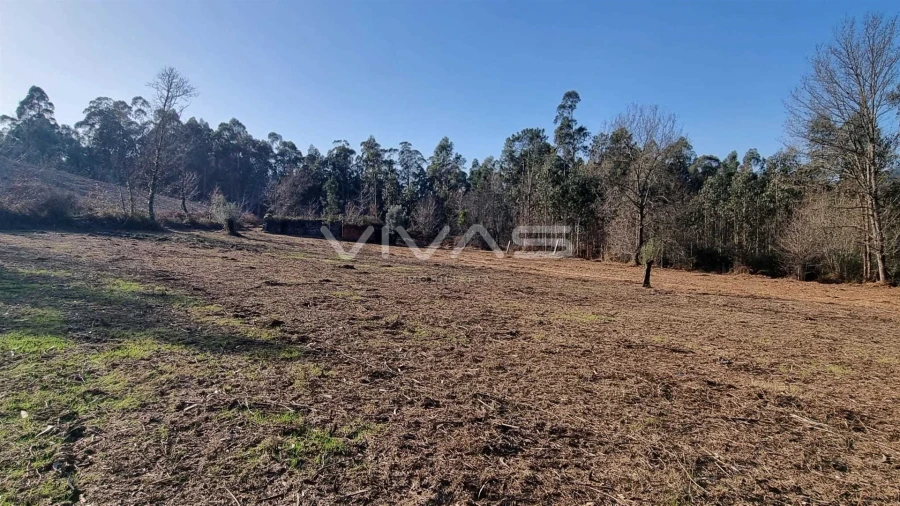 Moradia T0 para Venda em Pico de Regalados, Gondiães e Mós Foto 8