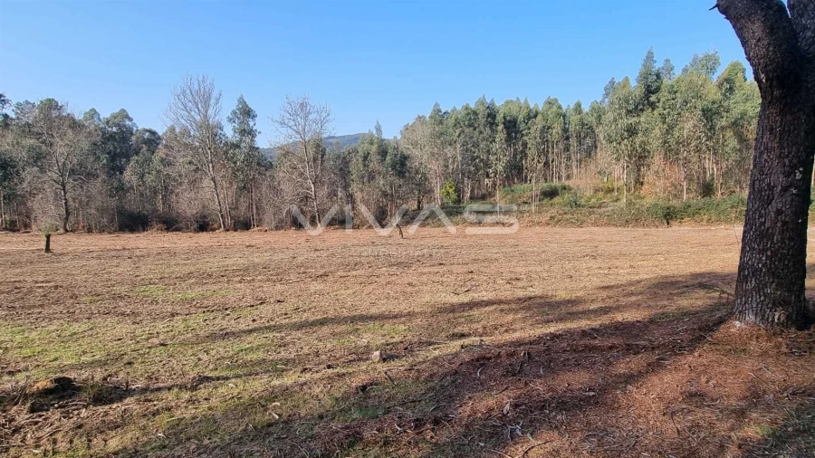 Moradia T0 para Venda em Pico de Regalados, Gondiães e Mós Foto 7