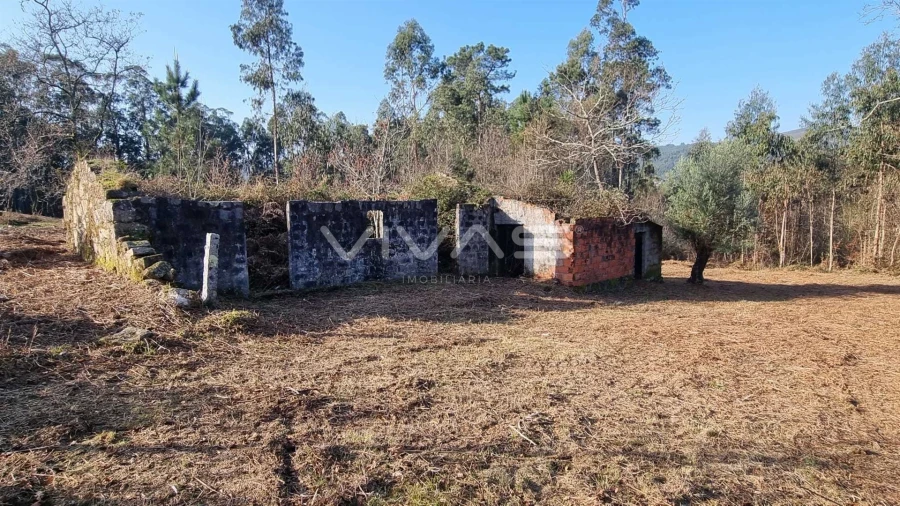 Moradia T0 para Venda em Pico de Regalados, Gondiães e Mós Foto 2
