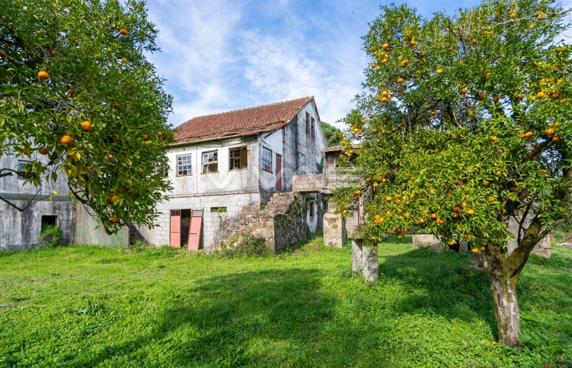Quinta T0 para Venda em Pico de Regalados, Gondiães e Mós Foto 16