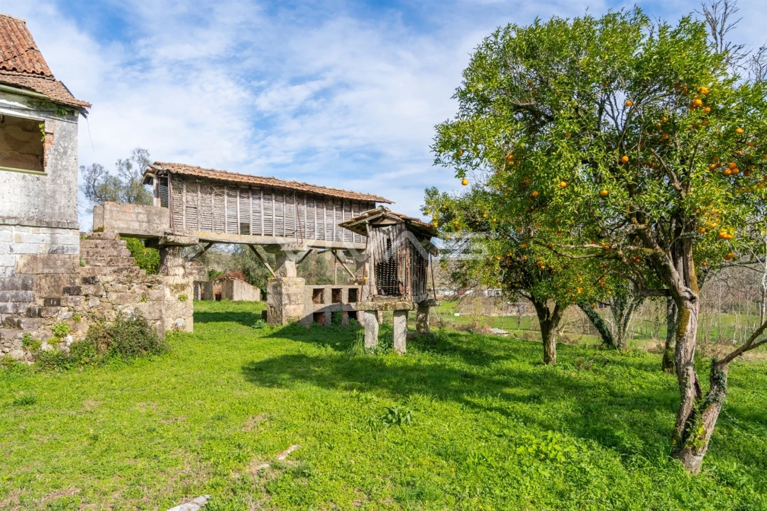 Quinta T0 para Venda em Pico de Regalados, Gondiães e Mós Foto 34