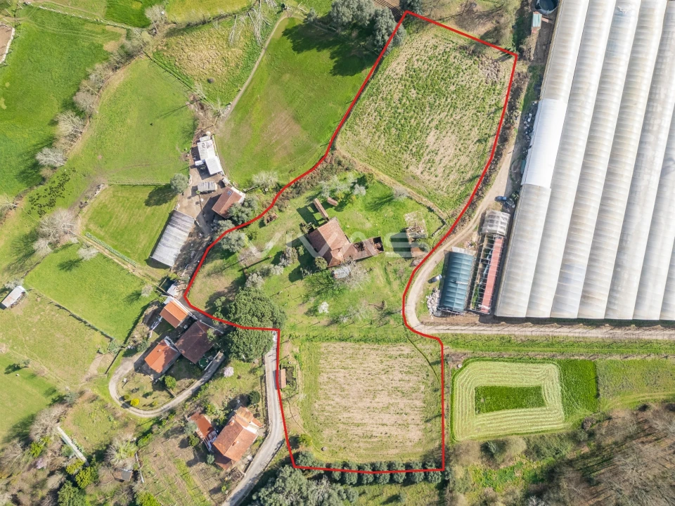 Quinta T0 para Venda em Pico de Regalados, Gondiães e Mós Foto 2