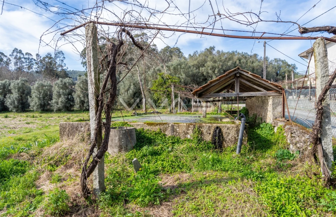 Quinta T0 para Venda em Pico de Regalados, Gondiães e Mós Foto 22