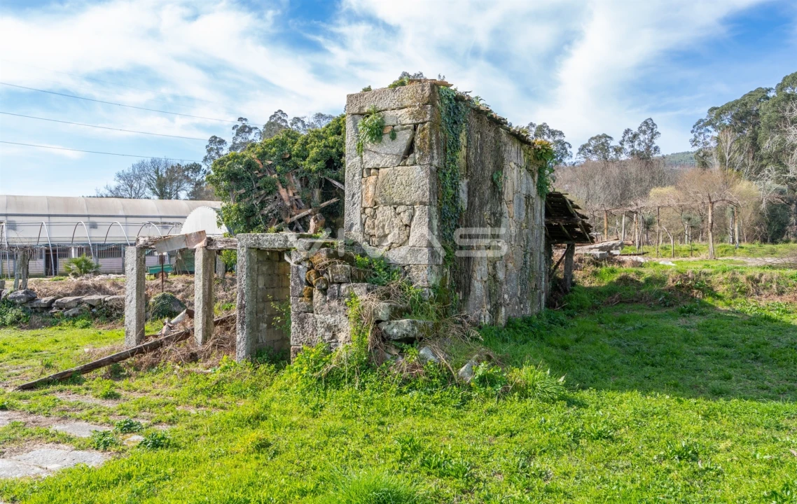Quinta T0 para Venda em Pico de Regalados, Gondiães e Mós Foto 31