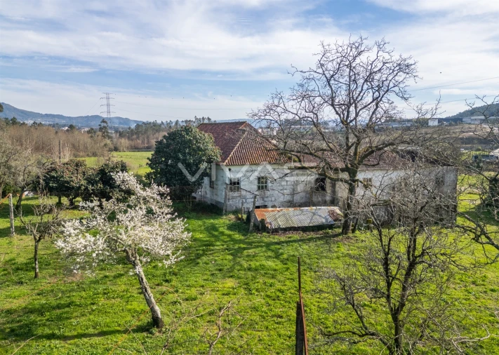 Quinta T0 para Venda em Pico de Regalados, Gondiães e Mós Foto 11