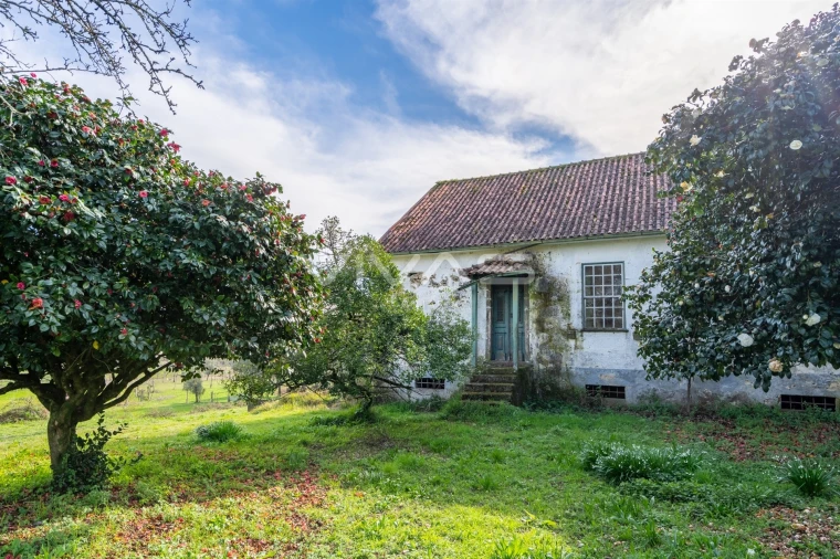 Quinta T0 para Venda em Pico de Regalados, Gondiães e Mós Foto 19
