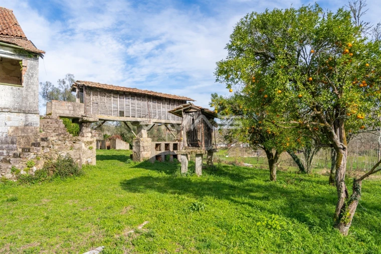 Quinta T0 para Venda em Pico de Regalados, Gondiães e Mós Foto 34