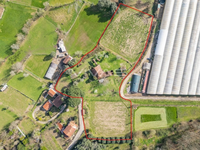 Quinta T0 para Venda em Pico de Regalados, Gondiães e Mós Foto 2