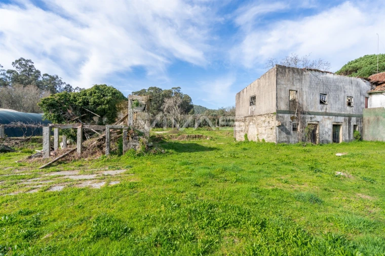 Quinta T0 para Venda em Pico de Regalados, Gondiães e Mós Foto 32