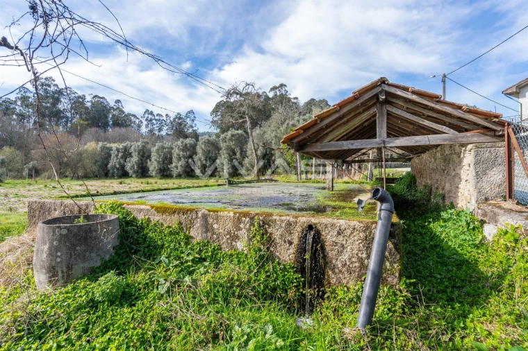 Quinta T0 para Venda em Pico de Regalados, Gondiães e Mós Foto 23